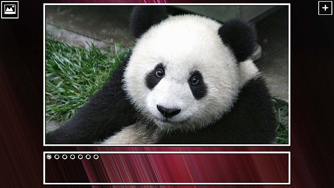 Super Jigsaw Puzzle: Generations - Bears Puzzles