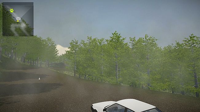 Endless Casual Drive