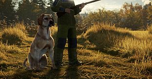 theHunter: Call of the Wild - Labrador Retriever