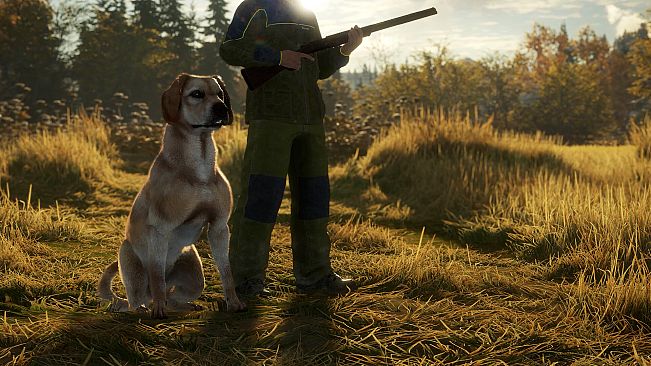 theHunter: Call of the Wild - Labrador Retriever