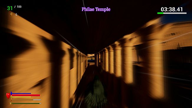 Unexpected Pigeon Race