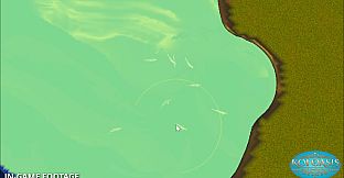 Koi Oasis: Breed. Build. Bloom.