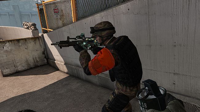 S.K.I.L.L. - Special Force 2 - Recruit Pack