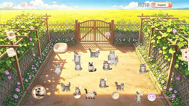 Cats Bring Wealth And Prosperity