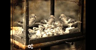 Lammana: The Looe Island Mystery