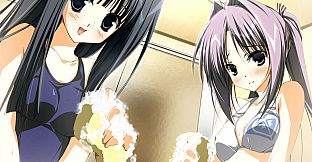 Wonderful Everyday Down the Rabbit-Hole