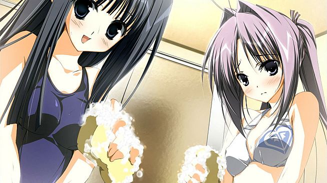 Wonderful Everyday Down the Rabbit-Hole