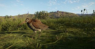 theHunter: Call of the Wild - Scotland Hunting Reserve