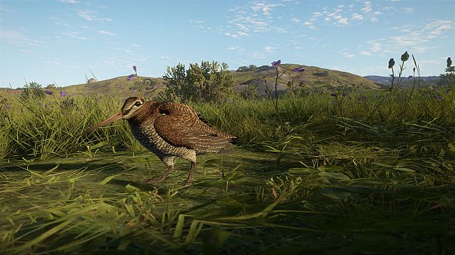 theHunter: Call of the Wild - Scotland Hunting Reserve