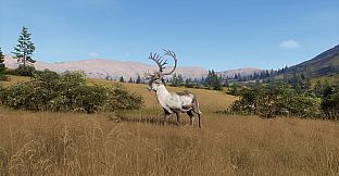 Way of the Hunter - Elkcrest Island