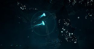 JELLYFISH