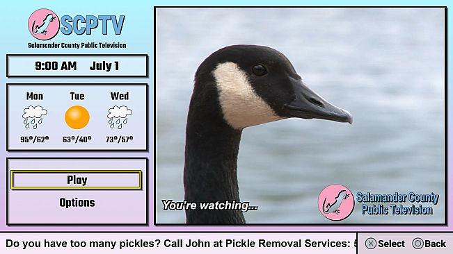 Salamander County Public Television