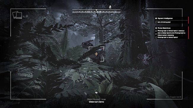Wilderdark