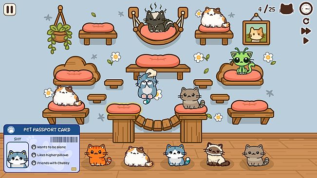 Cats And Pillows