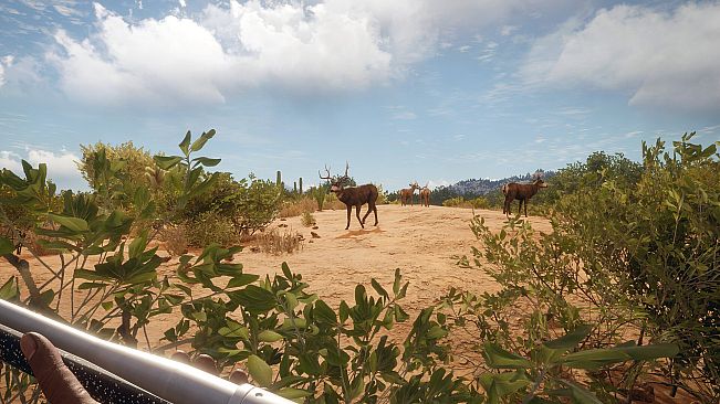 theHunter: Call of the Wild - Hunter Power Pack