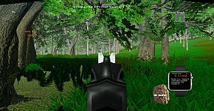 Turkey Hunting - The Season