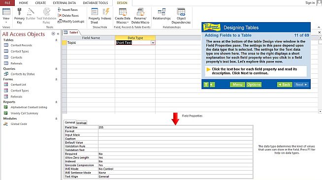 Professor Teaches Access 2013 & 365