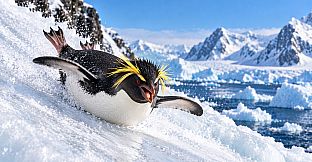 Puzzle Penguins
