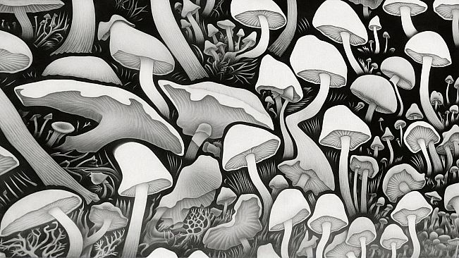 AI-VJ - Magic Forest Visuals