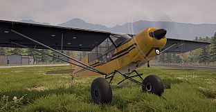 Deadstick - Bush Flight Simulator