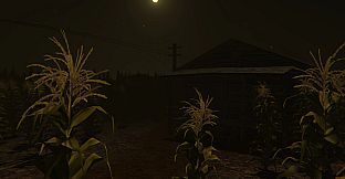 Cornfield