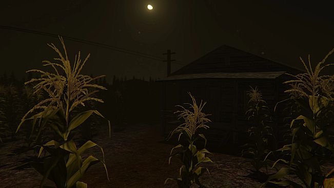 Cornfield