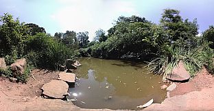 Exhale XR - Aquatic Wildlife