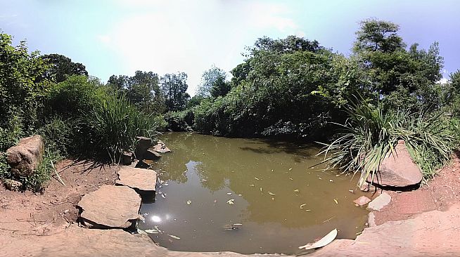 Exhale XR - Aquatic Wildlife