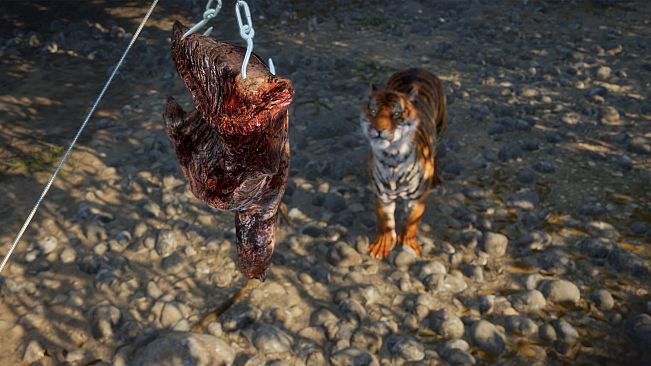 theHunter: Call of the Wild - Game Feeder Pack 2