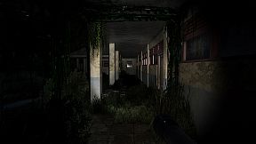 Pulang Insanity - Director's Cut