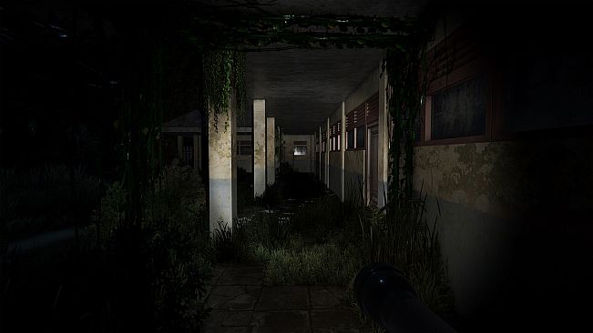 Pulang Insanity - Director's Cut