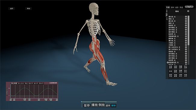 Kinetic Anatomy 3D