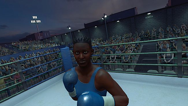 The Thrill of the Fight 2 Spectator