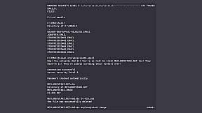 Elite Hacker: Retro Hacking Evolution: Grand Theft Transsexual Uplink Matrix Terminator SEO Words