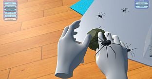 Vrerience - Fear of Spiders