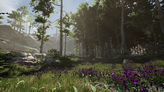 The Archipelago Promise