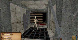 Avalon: Sacred Crusade