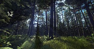 Way of the Hunter - Aurora Shores