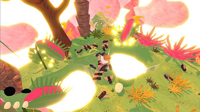 Amazing Chicken Adventures