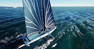 Flying Fish