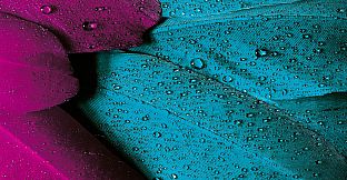 Master of Pieces Jigsaw Puzzle - Impossibles # 1 DLC