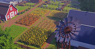 Village 51