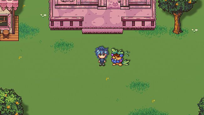 Sun Haven: Sweet Pet Pack
