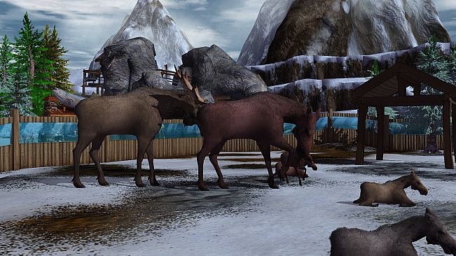 Wildilfe Park 3 - Alaska