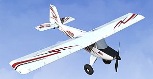 RealFlight Evolution - 2026 Year Content Pass