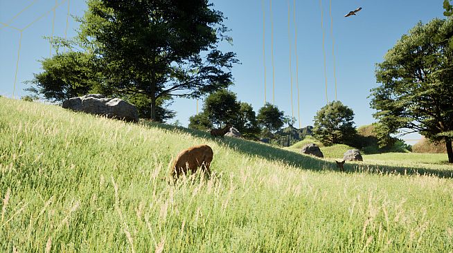 Under Us