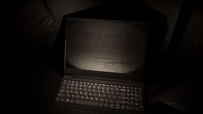 Borrowed Sight