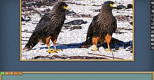 Jigsaw Puzzle Pack - Pixel Puzzles Ultimate: PP2 Birds