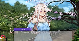 Where The Stars Brought Us