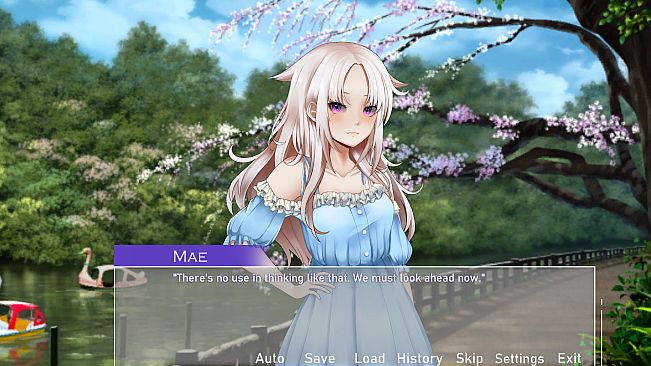 Where The Stars Brought Us